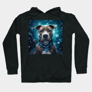 Magical Blue Nose Staffy Hoodie